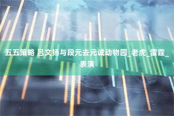 五五策略 吕文扬与段元去元诚动物园_老虎_雷霆_表演