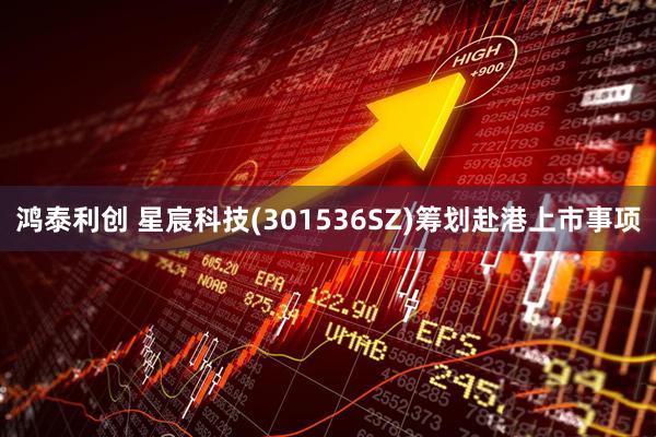 鸿泰利创 星宸科技(301536SZ)筹划赴港上市事项