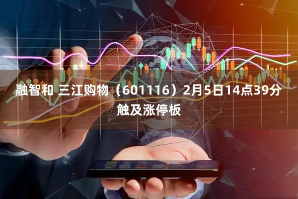 融智和 三江购物（601116）2月5日14点39分触及涨停板